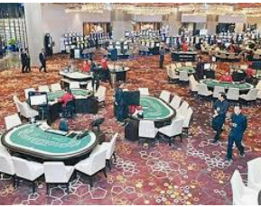 摇钱树捕鱼下载客户端